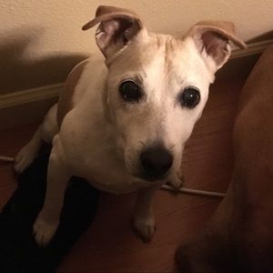 Meet your Posher, Karla